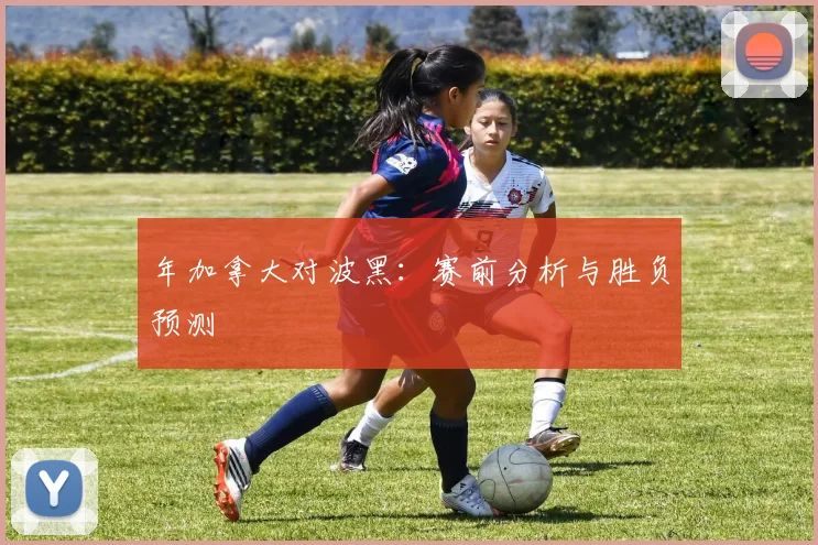 年加拿大对波黑：赛前分析与胜负预测