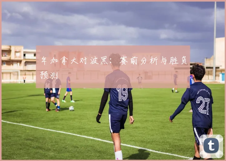 年加拿大对波黑：赛前分析与胜负预测
